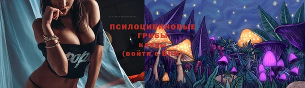 таблы Лиски