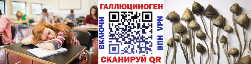 Галлюциногенные грибы Cubensis darknet официальный сайт Норильск