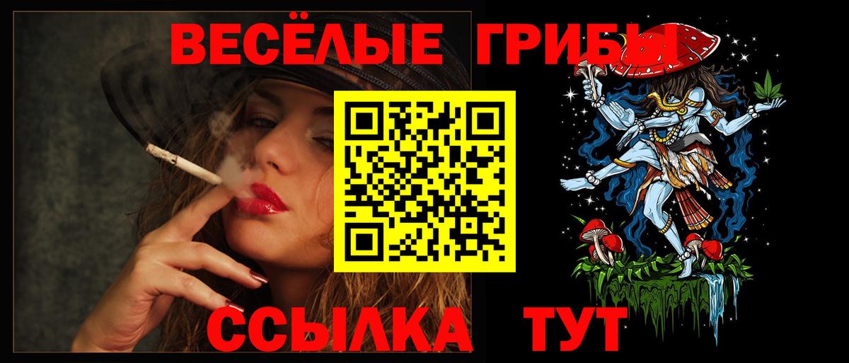Галлюциногенные грибы мицелий Норильск